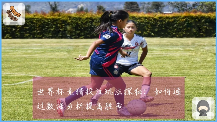 世界杯竞猜投注玩法探秘：如何通过数据分析提高胜率