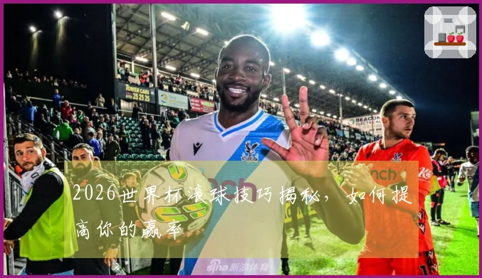 2026世界杯滚球技巧揭秘，如何提高你的赢率