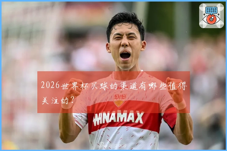 2026世界杯买球的渠道有哪些值得关注的？