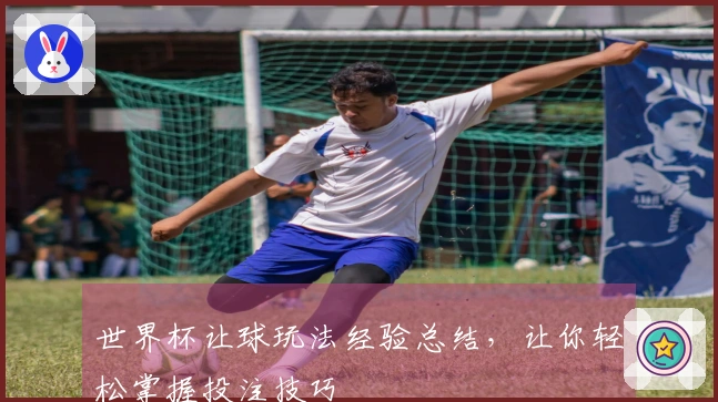 世界杯让球玩法经验总结，让你轻松掌握投注技巧