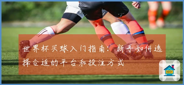 世界杯买球入门指南：新手如何选择合适的平台和投注方式