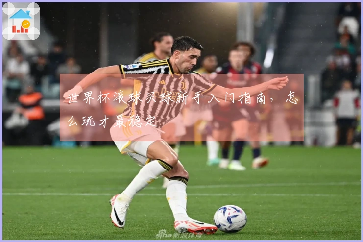 世界杯滚球买球新手入门指南，怎么玩才最稳定