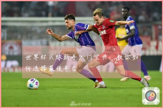 世界杯买球新手入门宝典，教你如何选择最佳平台